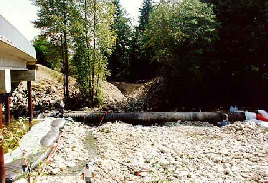 seymour river crossing - 19921.jpg
